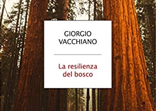resilienza del bosco libro