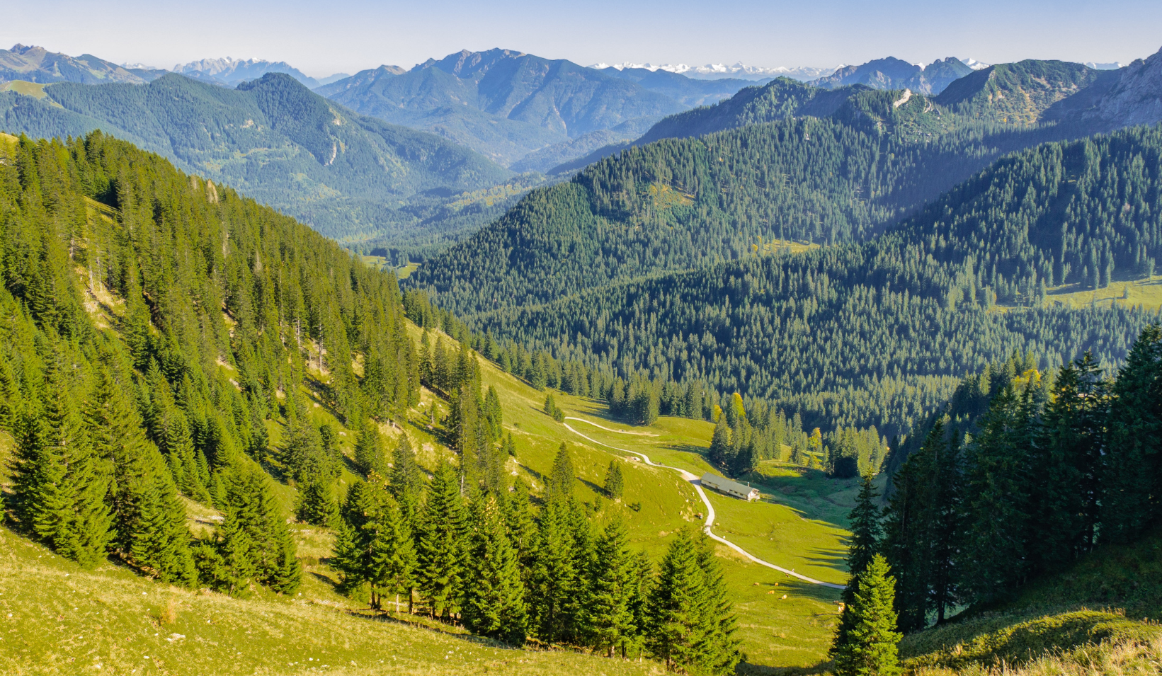 montagna verde